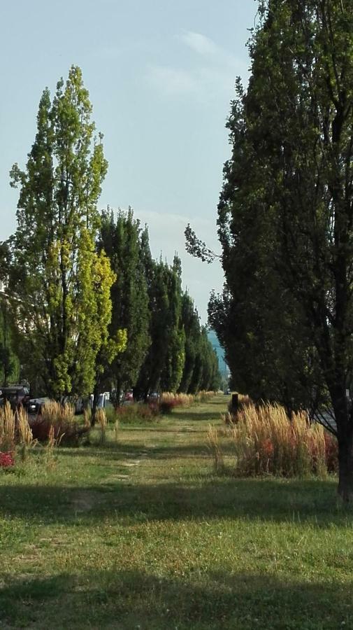 Apartament Krakowski Styl Exterior photo